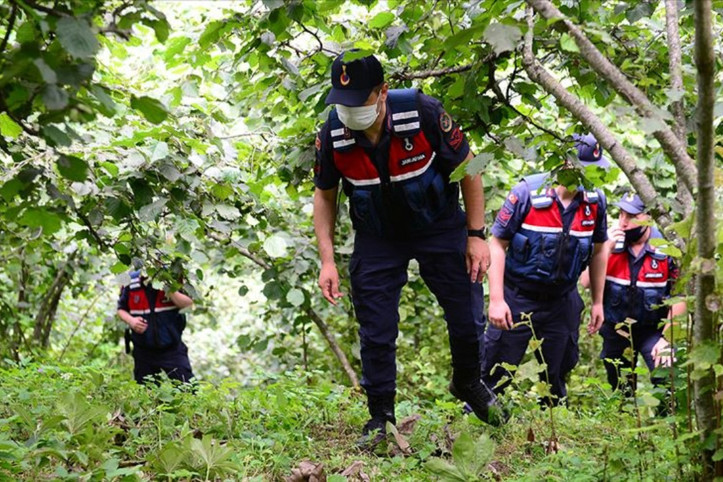 Yaşlı kadın ormanda kayboldu