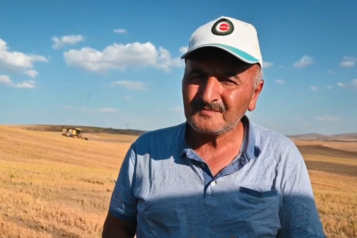 Tarlaya biçerdöver sokmadı, koyunlara yem etti: Masrafını bile karşılamıyor