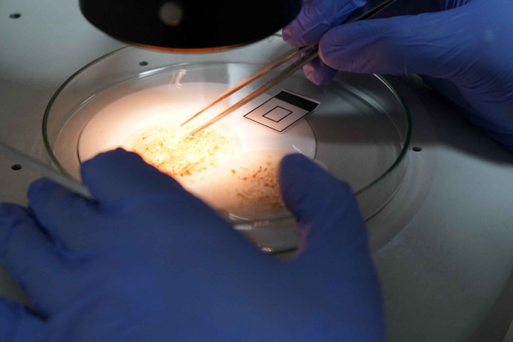 Tehlike büyük: Kalıcı bir tehditle karşı karşıyayız