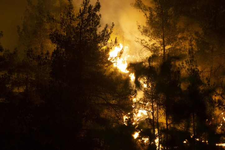 3 aylık orman yangını bilançosu: 27 tutuklama