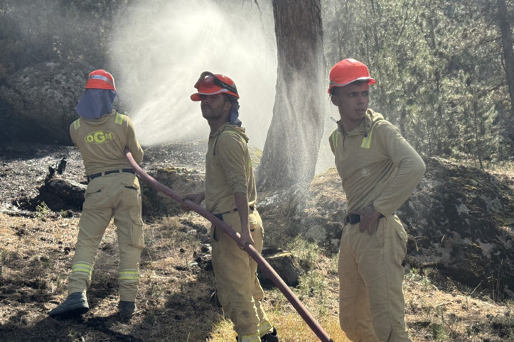 4 ili etkileyen yangın kontrol altına alındı