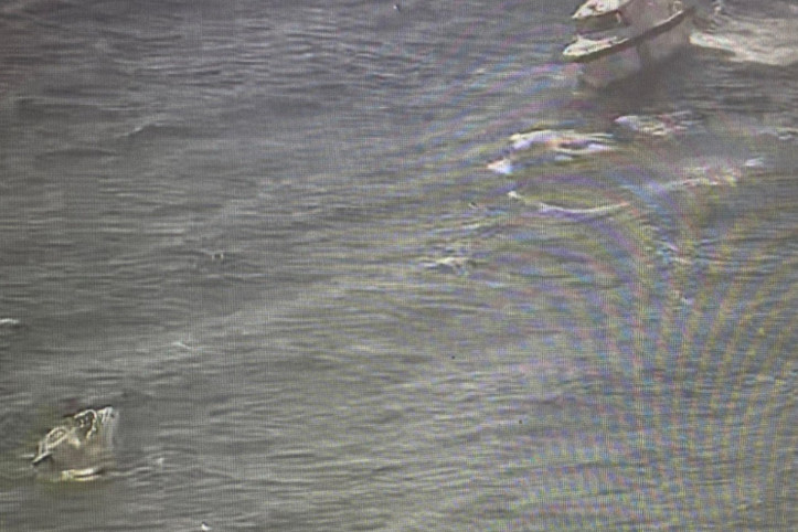 Kınalıada açıklarında tekne battı