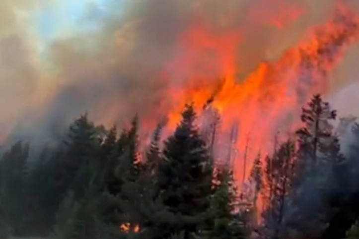 Çankırı'da orman yangını