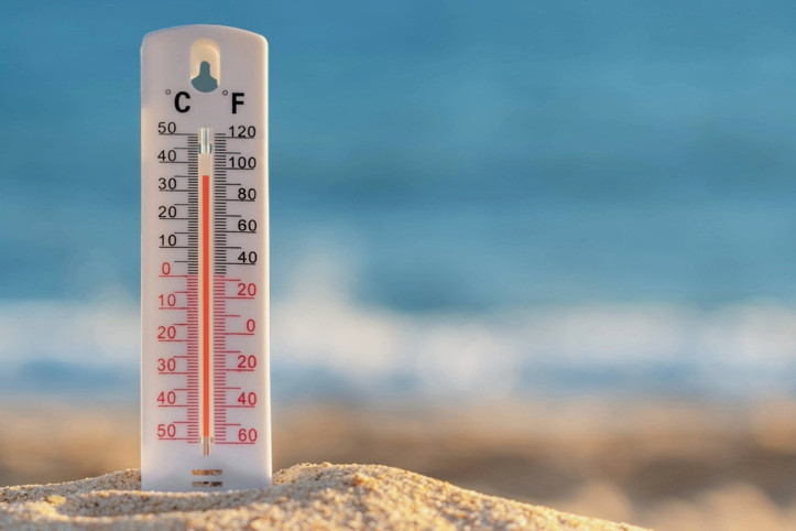 Son bir haftada 264 kişi öldü, ülkede alarma geçildi