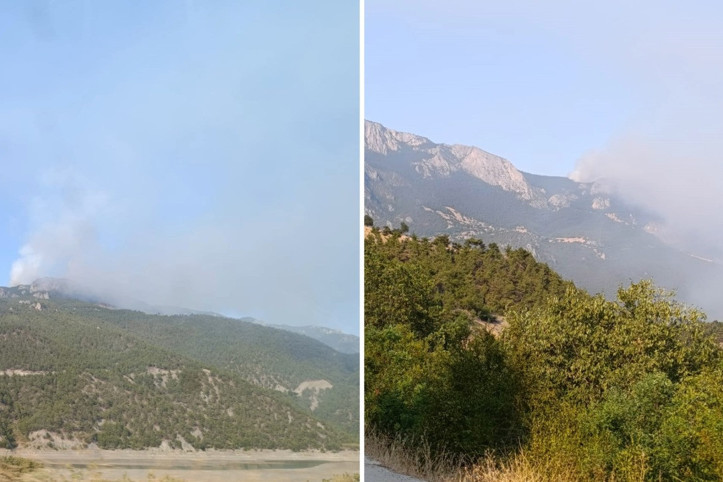 Sinop'ta orman yangını çıktı