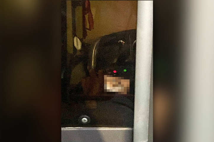 Bursa'da iğrenç olay: Vatandaş yakaladı