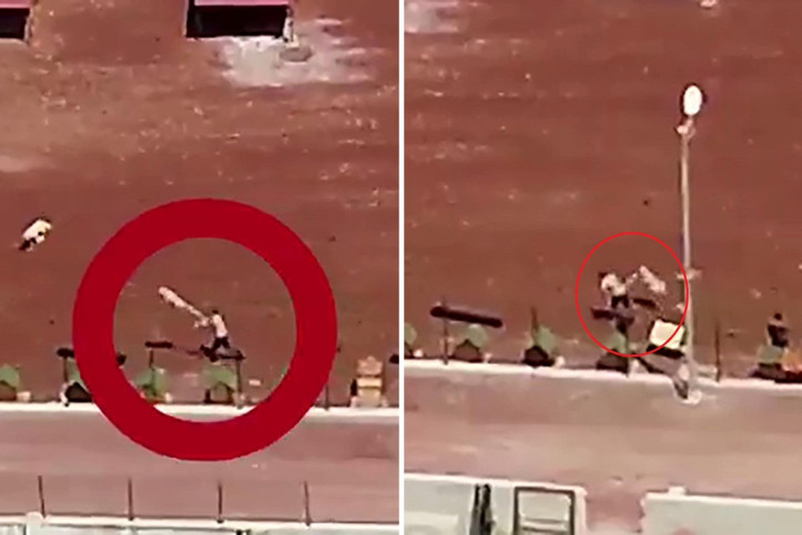 Köpeğe kürekle vuran barınak görevlisine soruşturma başlatıldı