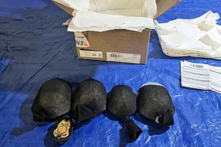 1.4 milyon dolarlık kaçakçılık: 850 kaplumbağayı çoraplara sakladı