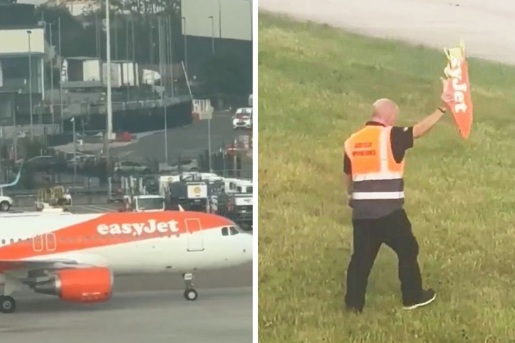 Kanatları kırıldı, uçamadılar