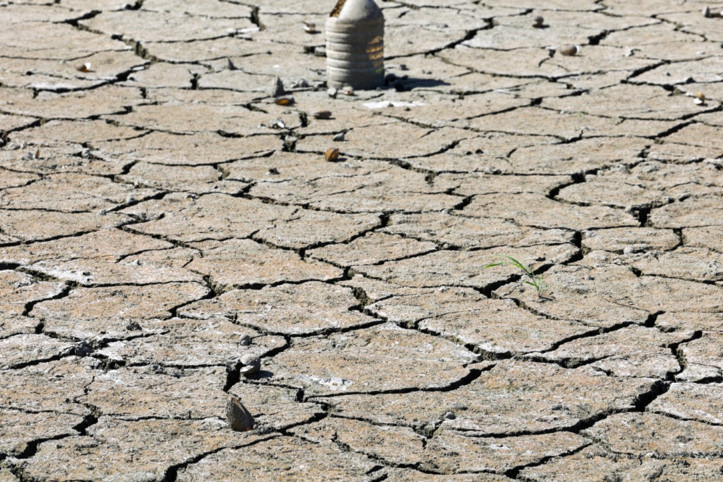 NASA'nın uydu verileri gösterdi: Kıtalar kuruyor