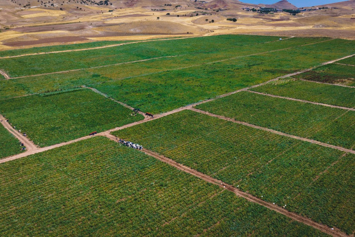 Vatandaşa seslendi: Dışarıda 25 TL'ye alıyorsunuz, bizde 8 TL