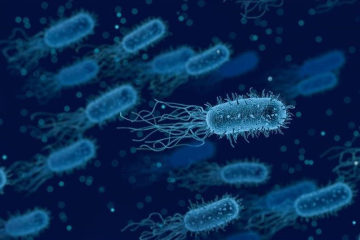 E.coli salgını 8 kişiyi öldürdü