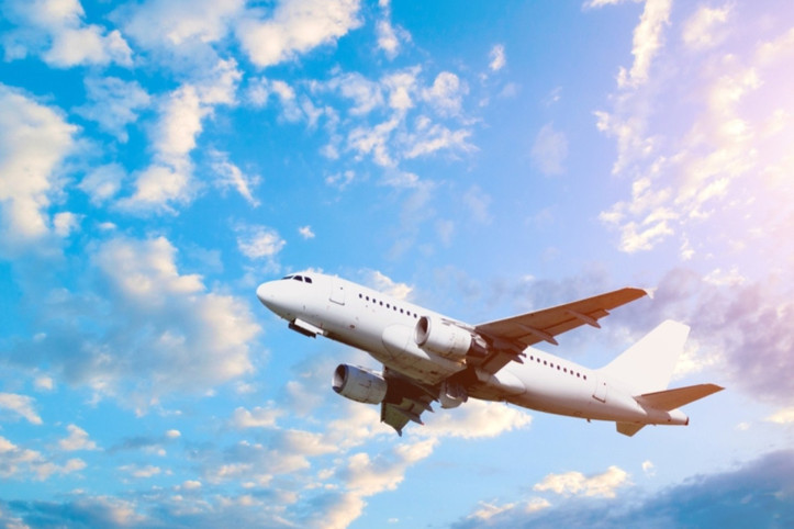 Türk yolcuyu yumrukladı, uçak acil iniş yaptı