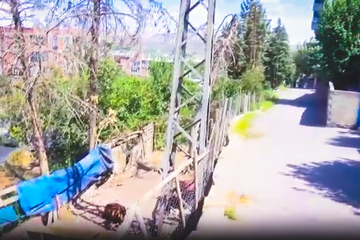 Ölü keçiye dokundu, kendisi de öldü