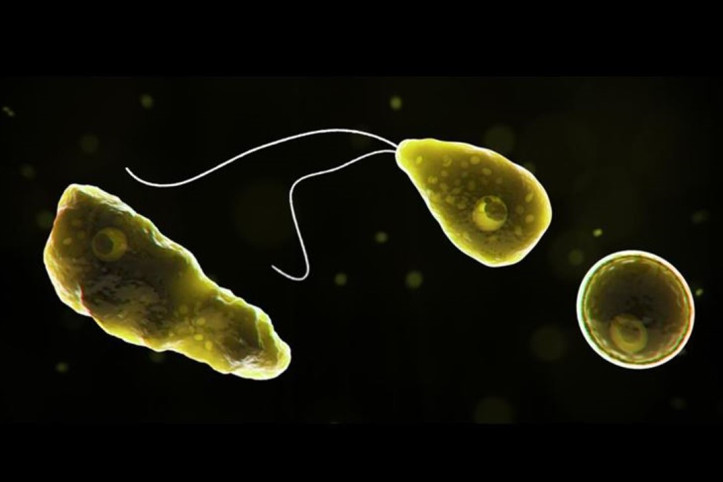 Beyin yiyen amip, 19 kişiyi öldürdü