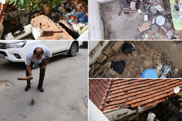 Mahallede fare paniği! Kedi kadar olanları var...