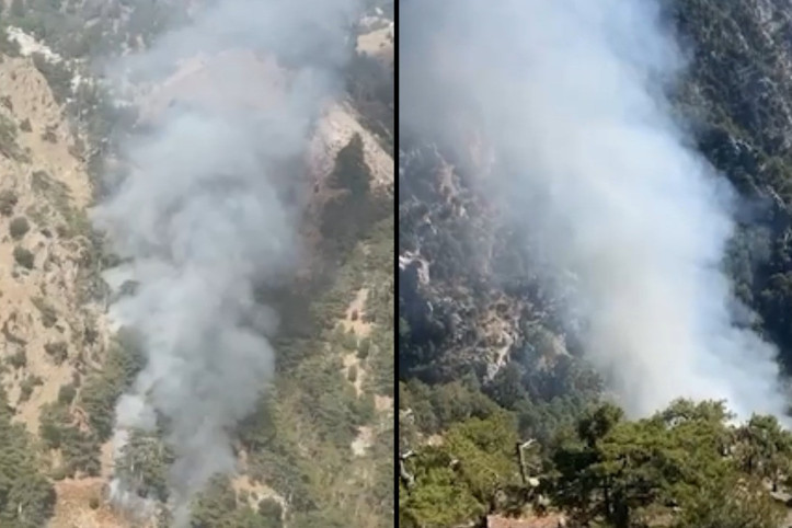 Muğla'da orman yangını