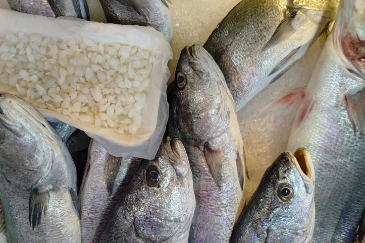 Balık 650, başındaki taş 10 bin TL