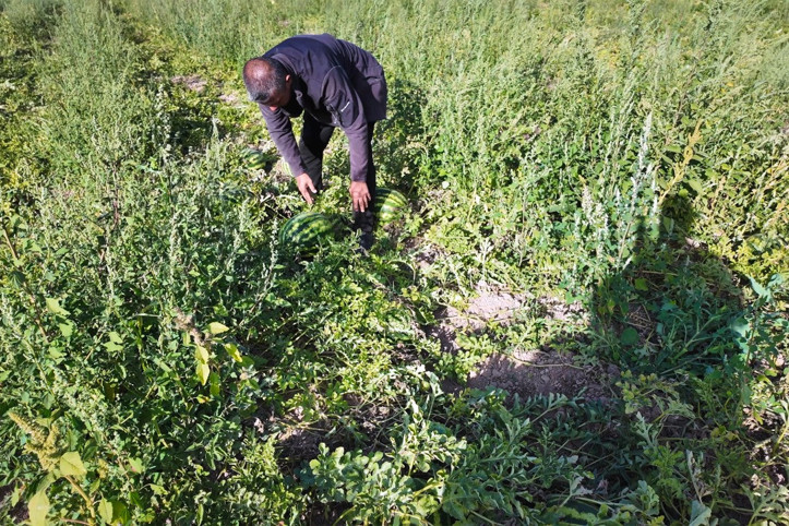 Zarar etmekten son anda kurtuldu: Diğerleri 2 TL'ye satmak zorunda kaldı