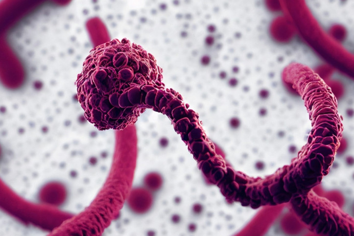 Ebola salgını: 35 kişi öldü