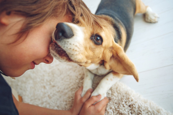 Bilimsel araştırma: Köpeklerle büyüyen çocuklar daha sağlıklı