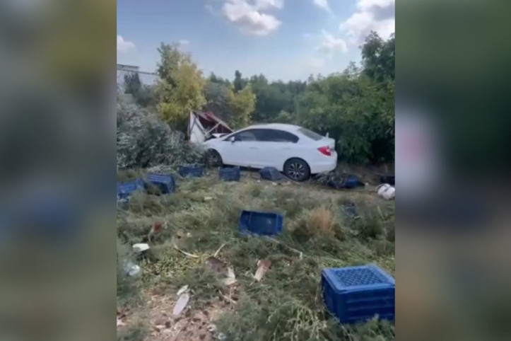 Otomobil, bahçede çalışan işçilere çarptı; 1 ölü, 3 yaralı