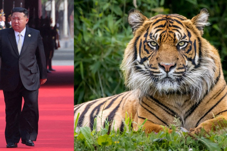 "Kuzey Koreliler aç kalmamak için kaplan yiyor"