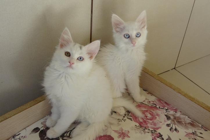 Kırmızı alarm kaldırıldı