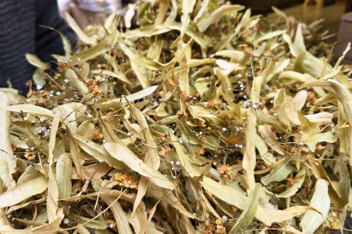 Şifa dağıtıyor ama doğru kaynatıldığında: İşte ıhlamurun püf noktaları