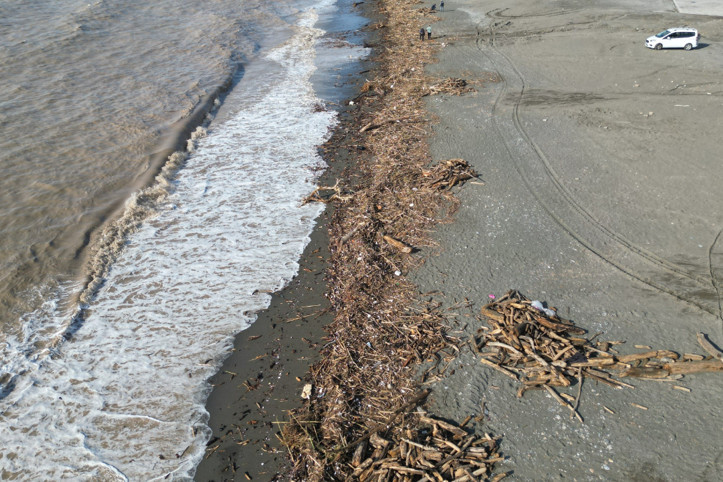 Sahile vuran binlerce kütük, Akdeniz’in rengini değiştirdi