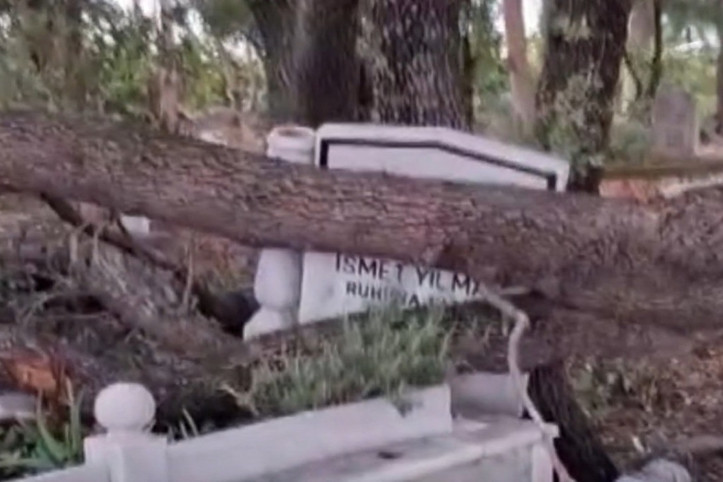Antalya’da şiddetli rüzgar mezarlıkta ağaçları devirdi