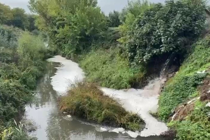 Endişe büyüdü: Gemlik Körfezi alarm veriyor