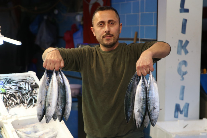 Palamutta sert düşüş: Fiyatlara yansıdı