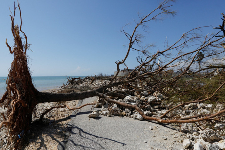 Melissa Karayipler'de 50 can aldı