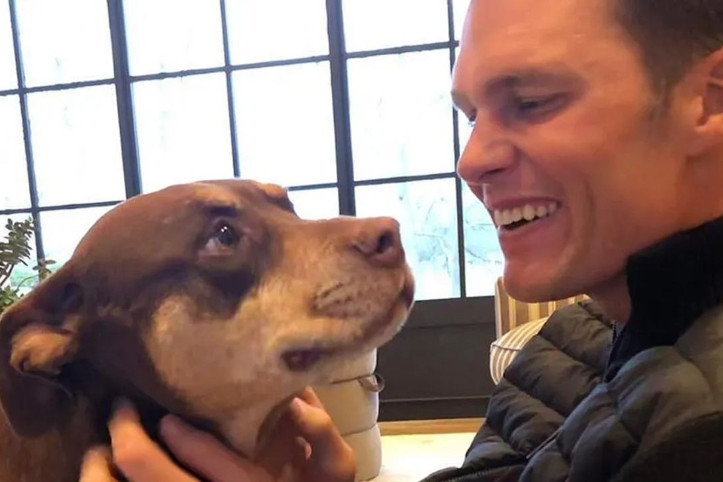 Futbol efsanesi ölen köpeğini klonlattı