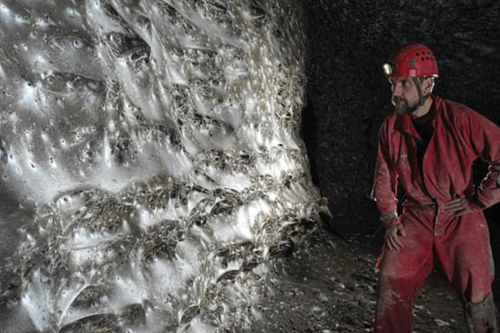 Dünyanın en büyük örümcek ağı bulundu: İçinden 110 binden fazla örümcek çıktı