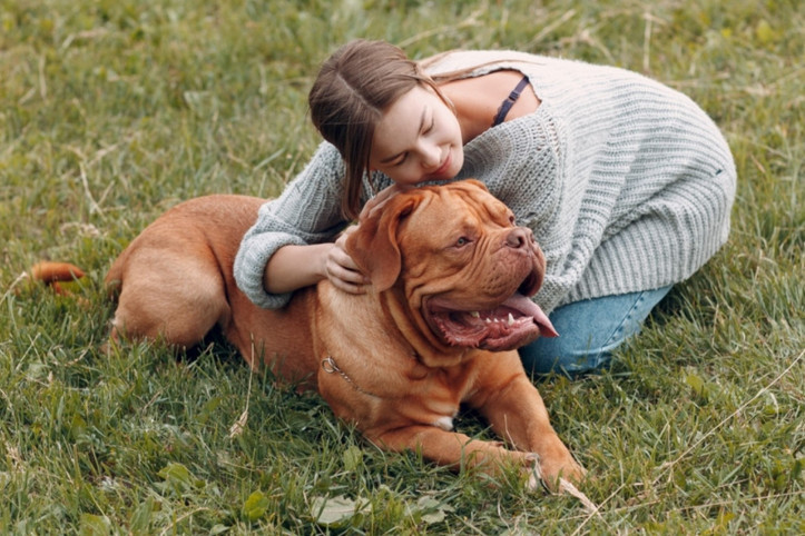 Çarpıcı araştırma: Bu köpeklerin kanser riski daha yüksek