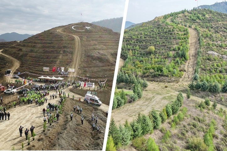 6 yıl önce yangında kül olan alanlar yeniden yeşile dönüştü