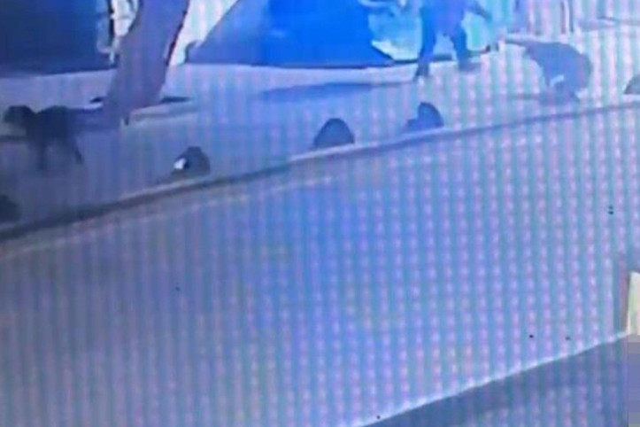 Emekli astsubay, sokak köpeğini tabancayla vurdu