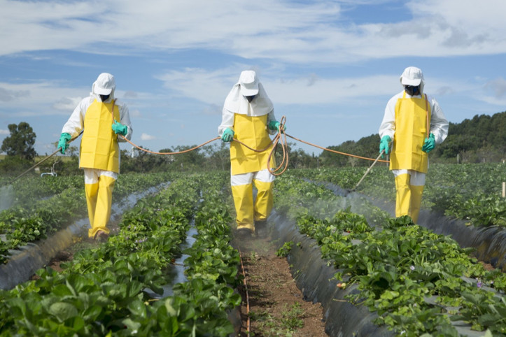 Yargıdan 'Pestisit analizleri açıklansın' kararı