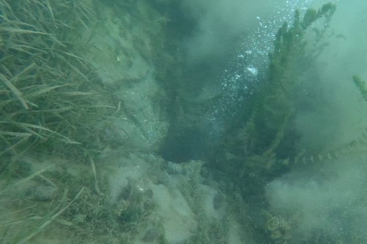 Kuzey Anadolu Fay Hattı üzerinde endişelendiren görüntü