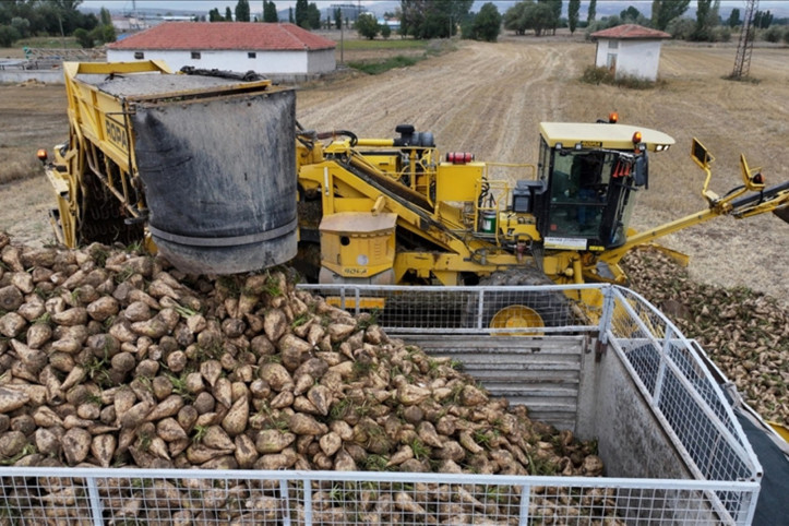 Şekerde 2026-2027 dönemi kotaları belirlendi