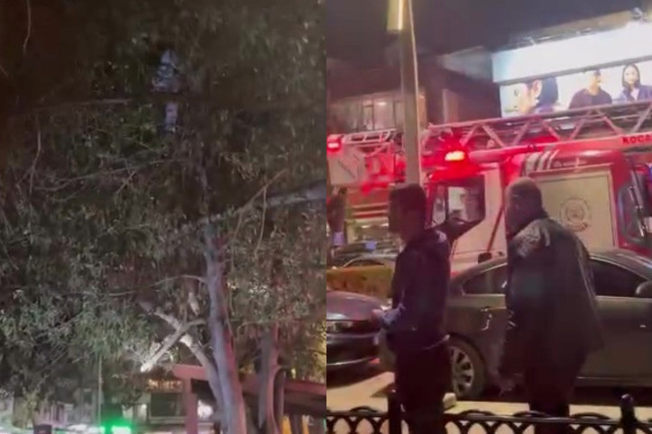 Topunu almak için çıktığı ağaçtan inemedi