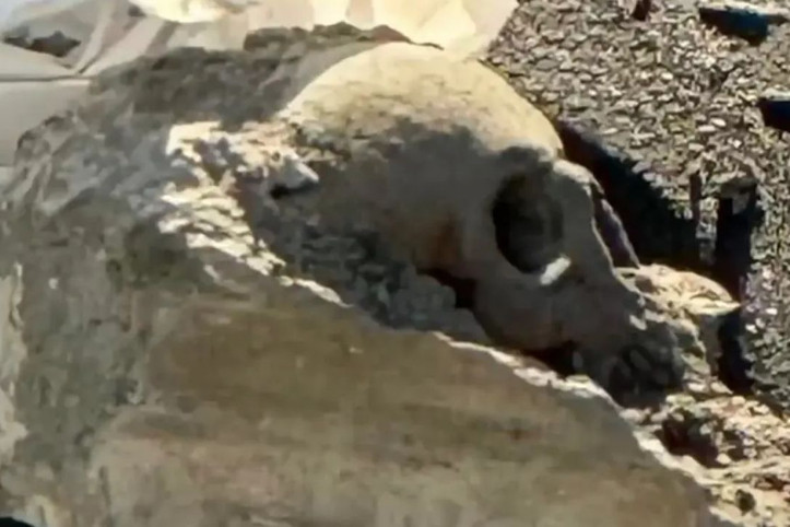 İskeledeki kafatası: Mafya cinayeti sandılar, gerçek başka çıktı