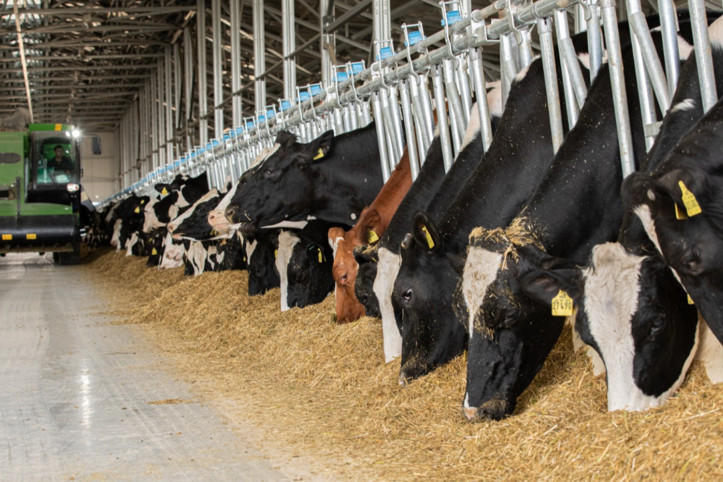 Bir tesis kapanacak, bölgede yaşayan her üç kişiden biri işsiz kalacak