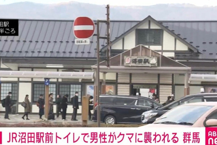 Umumi tuvaletten çıkan adama ayı saldırdı