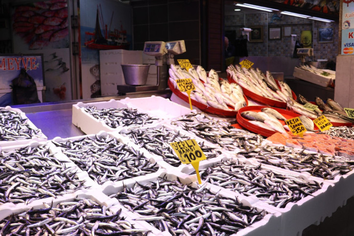 Trabzon’da hamsi fiyatı bir günde yüzde 50 arttı: “Daha da artacak”