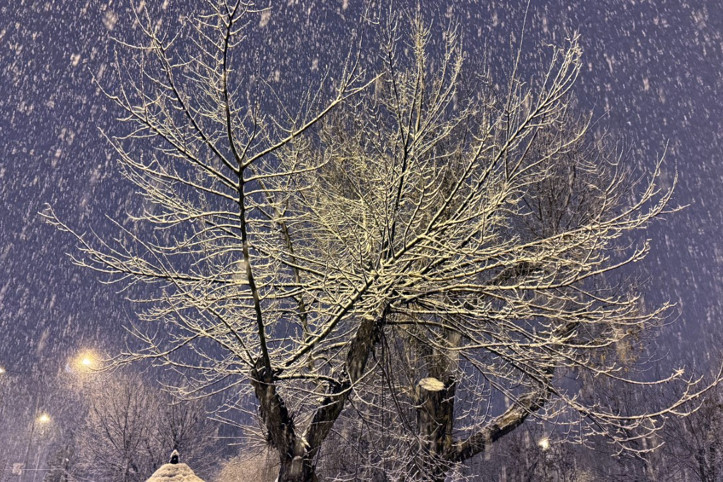 Kar yağışı kenti beyaza bürüdü