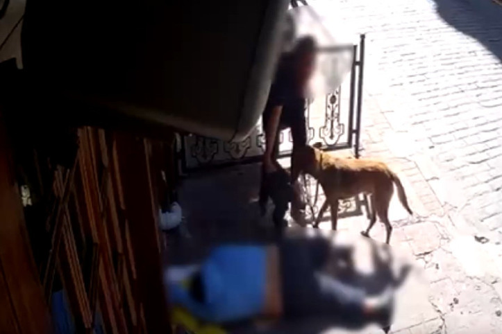 Köpeğini gezdiriyordu, yerde uyuyan adamı soydu