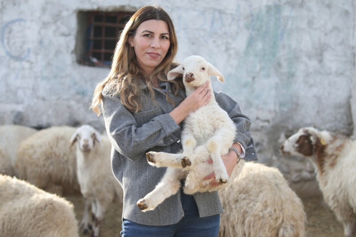 İstanbul'dan köyüne döndü, 3 yılda sürüsünü 4'e katladı